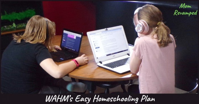 Homeschooling While Working from Home